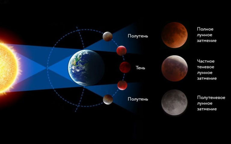 Почему нельзя ожидать солнечного затмения во время каждого новолуния ответ на тест