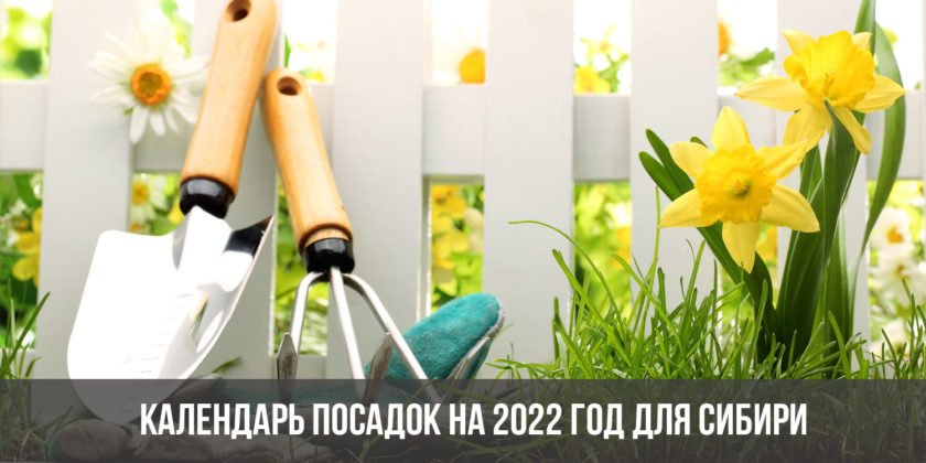 Календарь посадок на 2022 год для Сибири