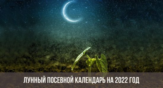 Лунный посевной календарь на 2022 год
