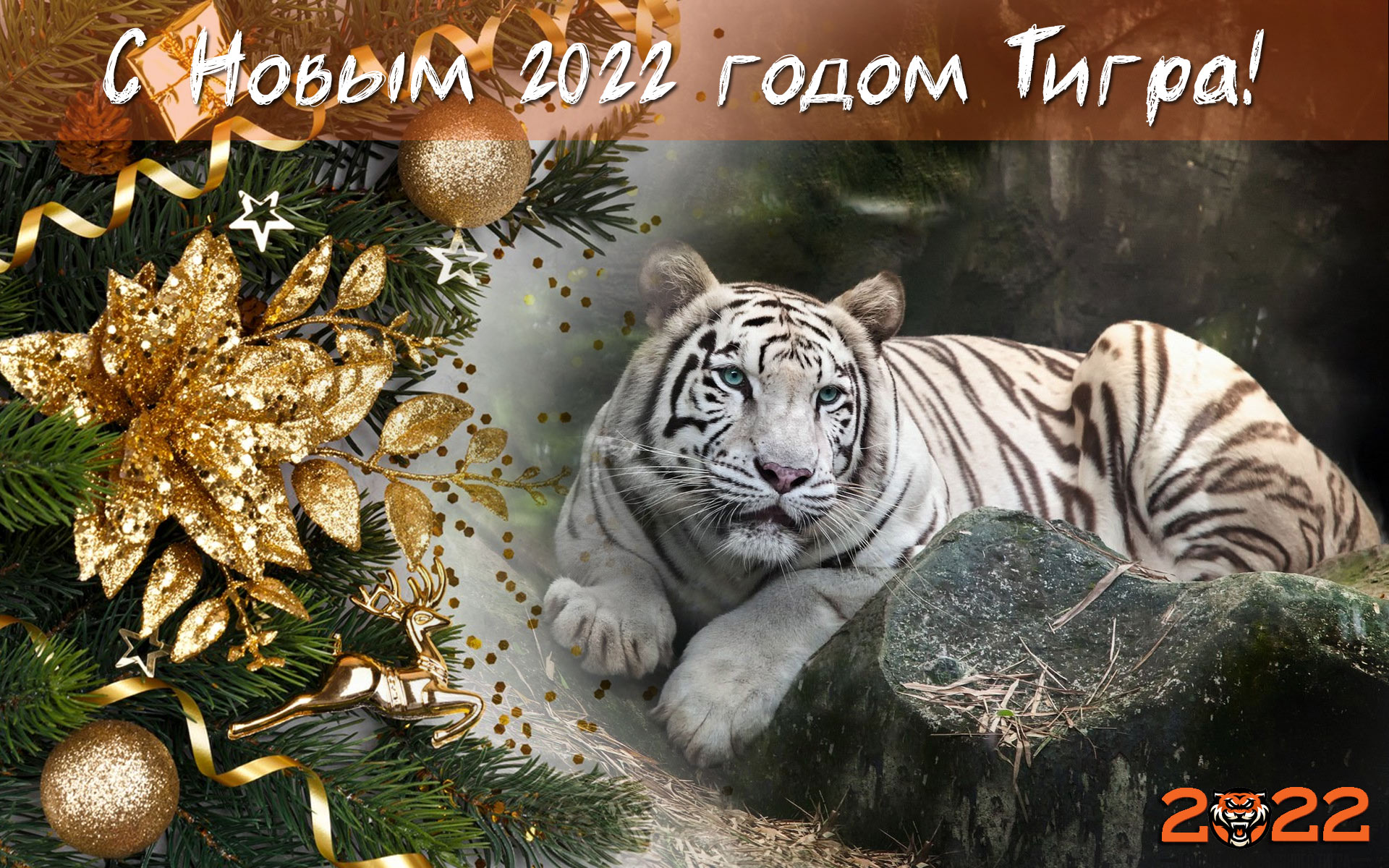 Открытки и прикольные поздравления на Новый 2022 год Тигра - стихи и проза